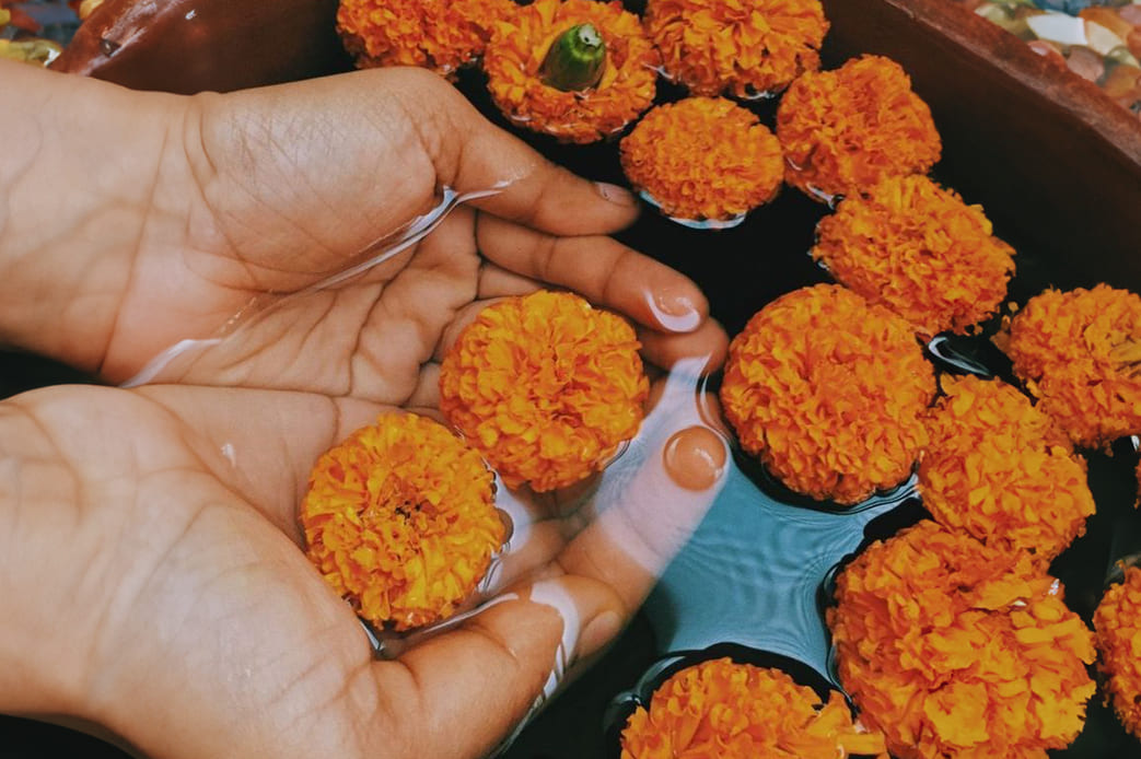 Marigold flowers