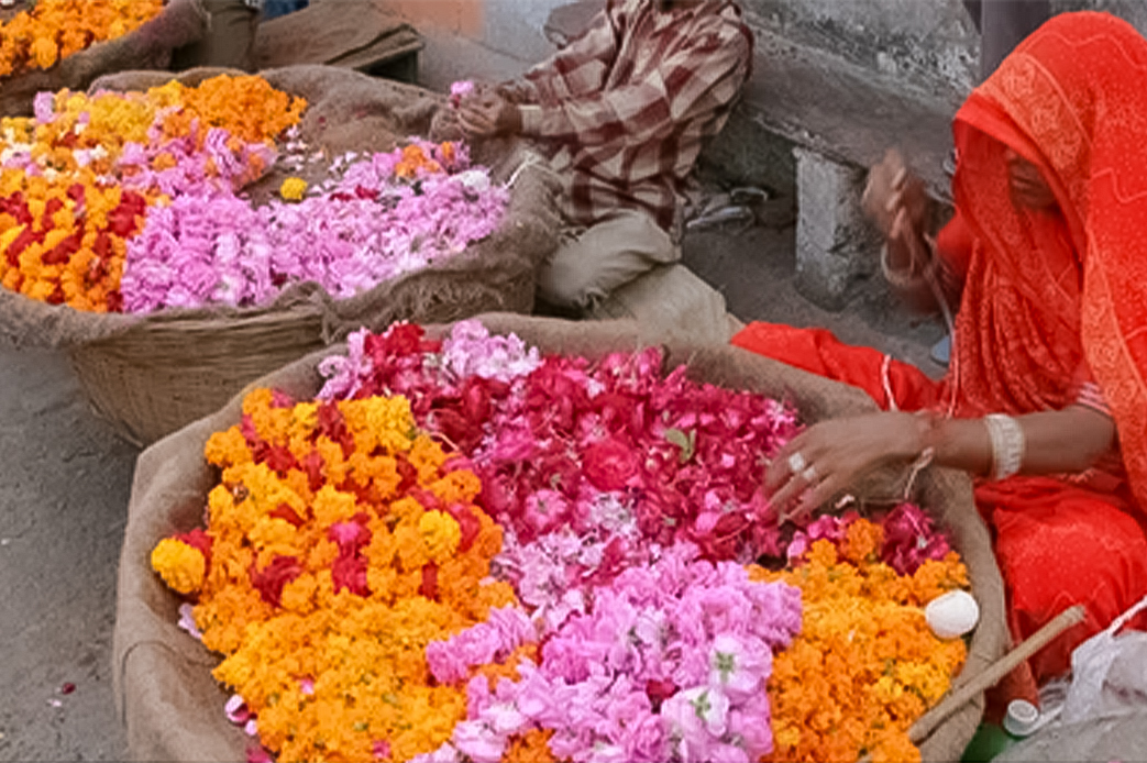 Pushkar Floral Market in Pushkar