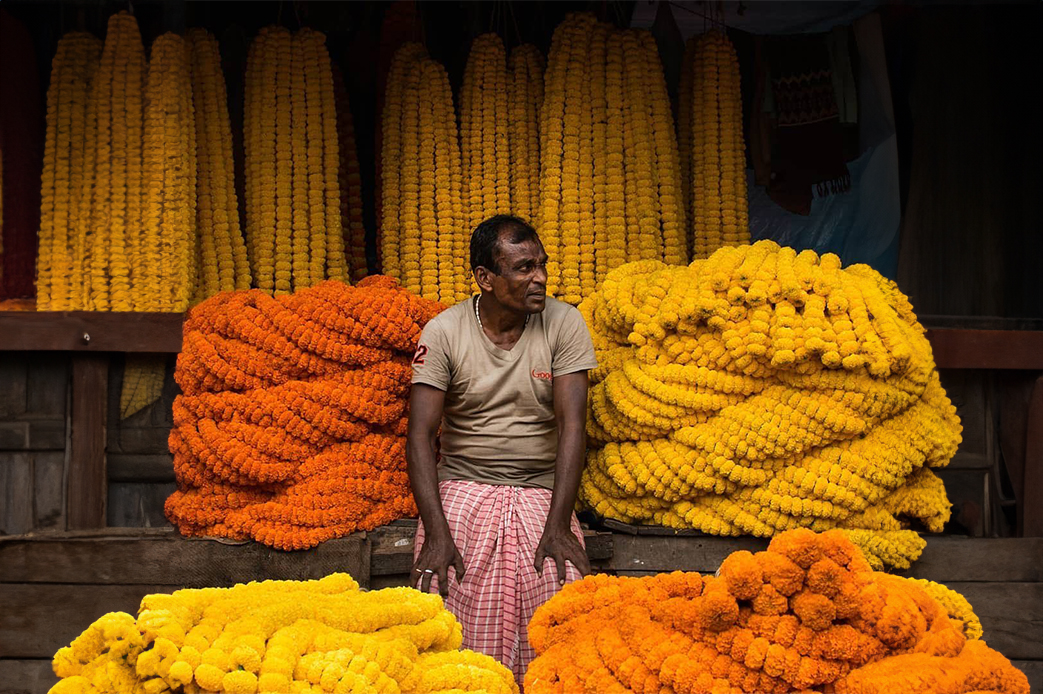 Mullick Ghat Floral Market, Kolkata