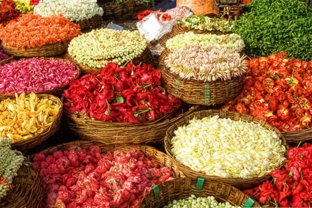 Gudimalkapur Floral Market in Hyderabad