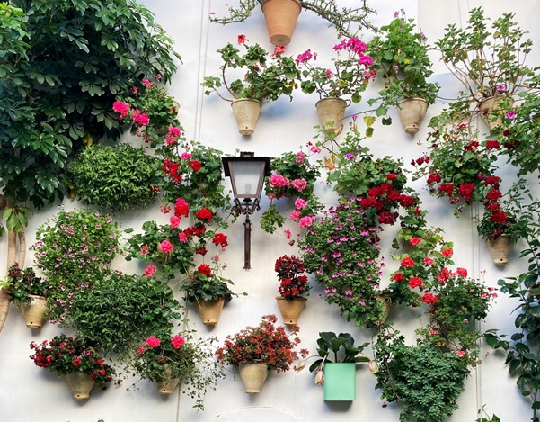 Vertical Garden
