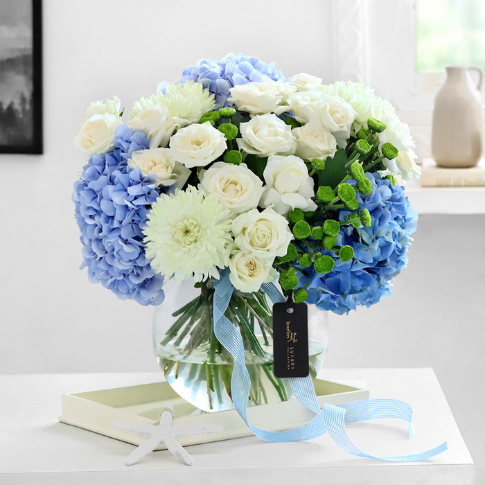 Blue & White Hydrangea