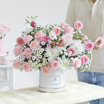 Gerbera for father