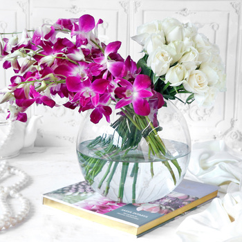 Orchid flowers