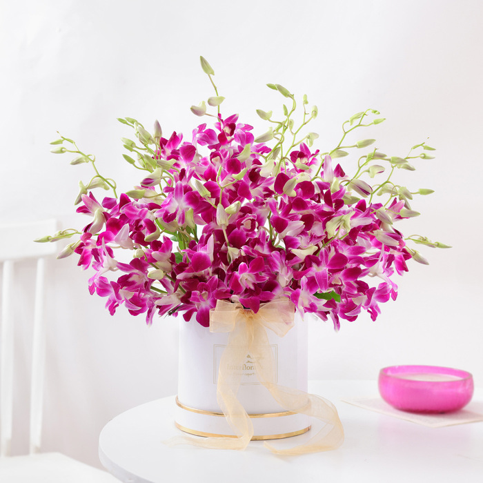 Orchids flower