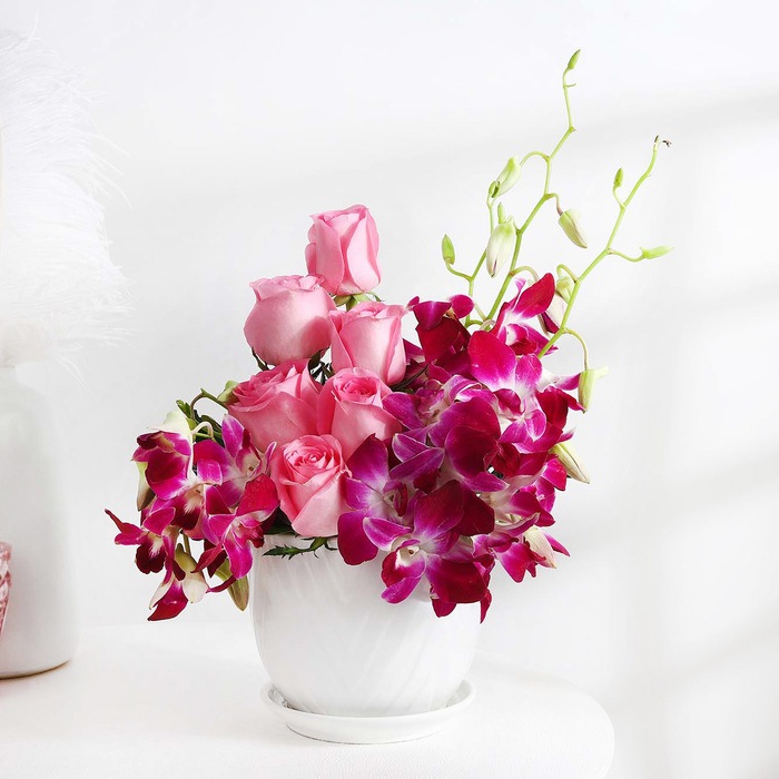 roses and orchids