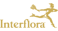 Interflora Corporate Gifting